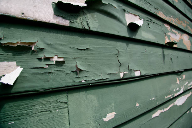 Best Engineered Wood Siding  in Avenel, NJ