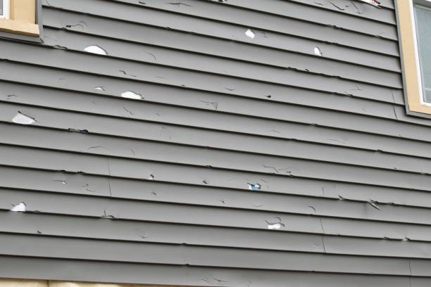 Best Historical Building Siding Restoration  in Avenel, NJ