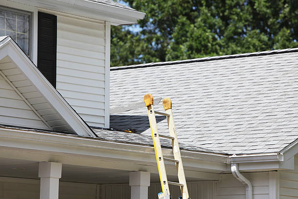 Best Custom Trim and Detailing for Siding  in Avenel, NJ