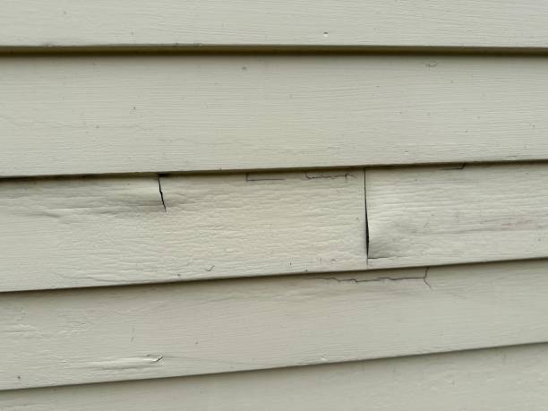 Affordable siding repair and maintenance services in Avenel, NJ